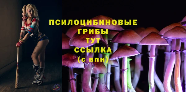 PSILOCYBIN Дмитров