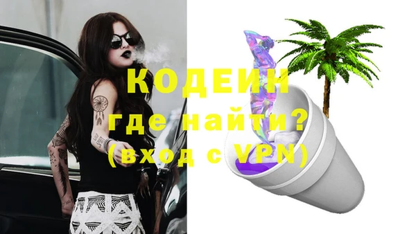прущие грибы Весьегонск
