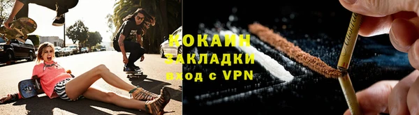 стаф Дмитриев