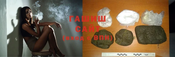 стаф Дмитриев
