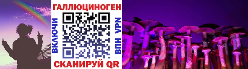 дарк нет состав  hydra рабочий сайт  Псилоцибиновые грибы GOLDEN TEACHER  Заринск  сколько стоит 